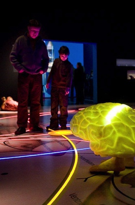 Besucher einer Ausstellung